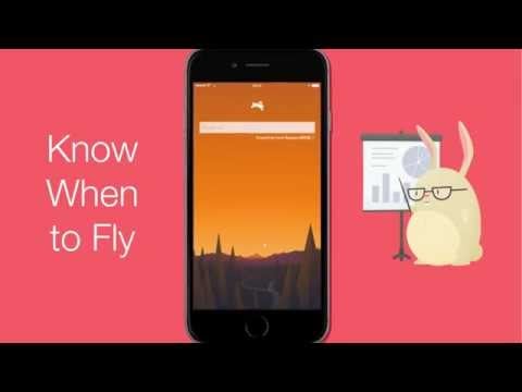 Hopper - Flight Research & Prediction App