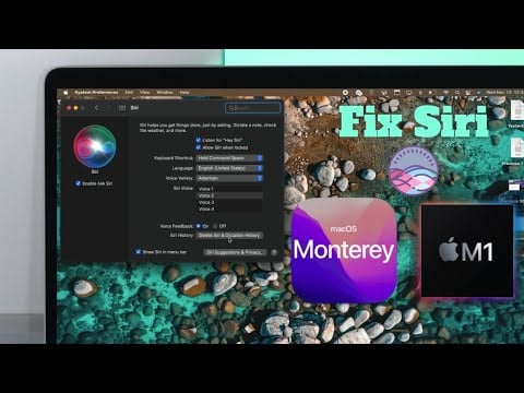 Fix- Siri not working on macOS Monterey!