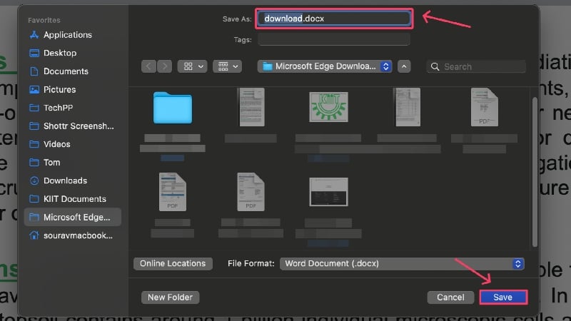 Save file using MS Word