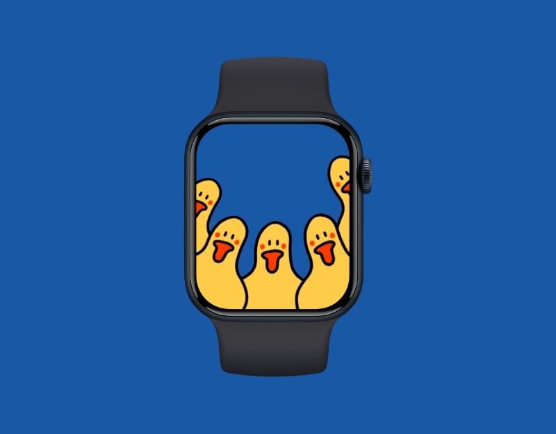 Funny Apple Watch Wallpapers - Infoupdate.org