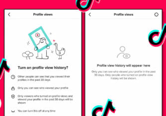 Can you see who views your TikTok Videos