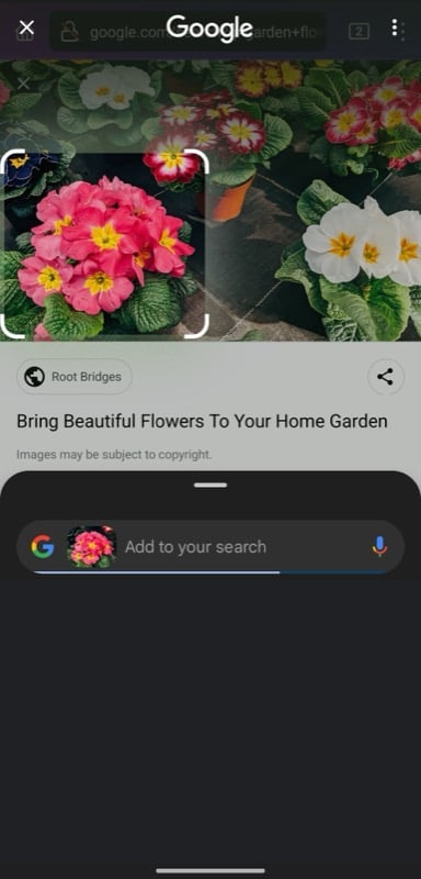 Adjusting on-screen selection to look up using Circle to Search.