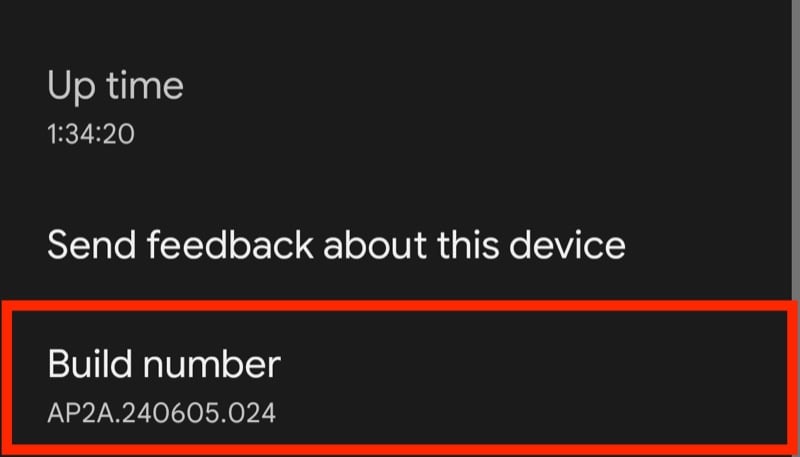 enabling developer options on a pixel 8a.