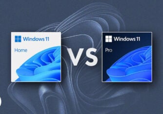 Windows 11 Home vs Pro