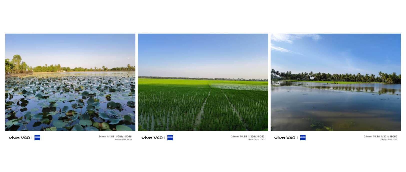 Vivo v40 camera samples