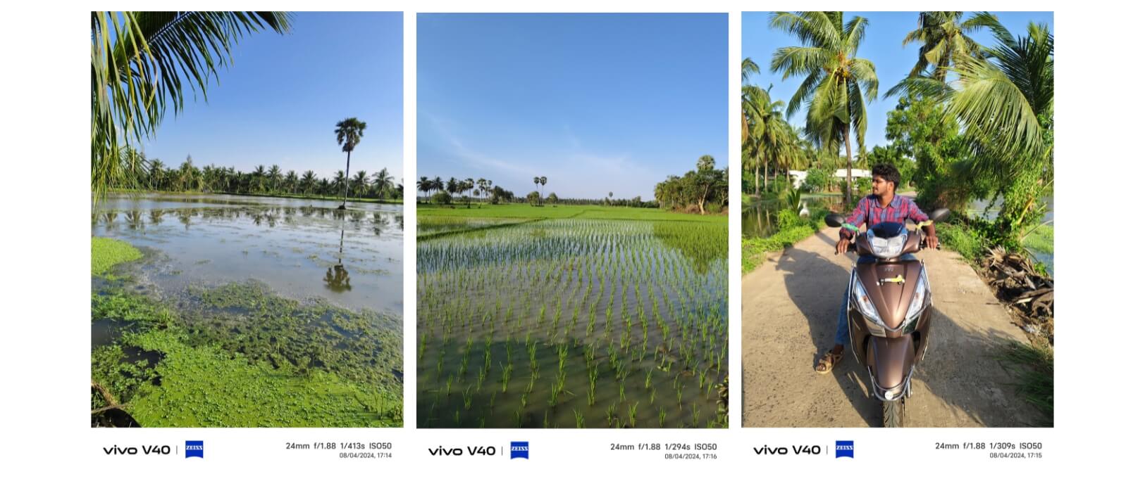 Vivo v40 rear camera day light samples