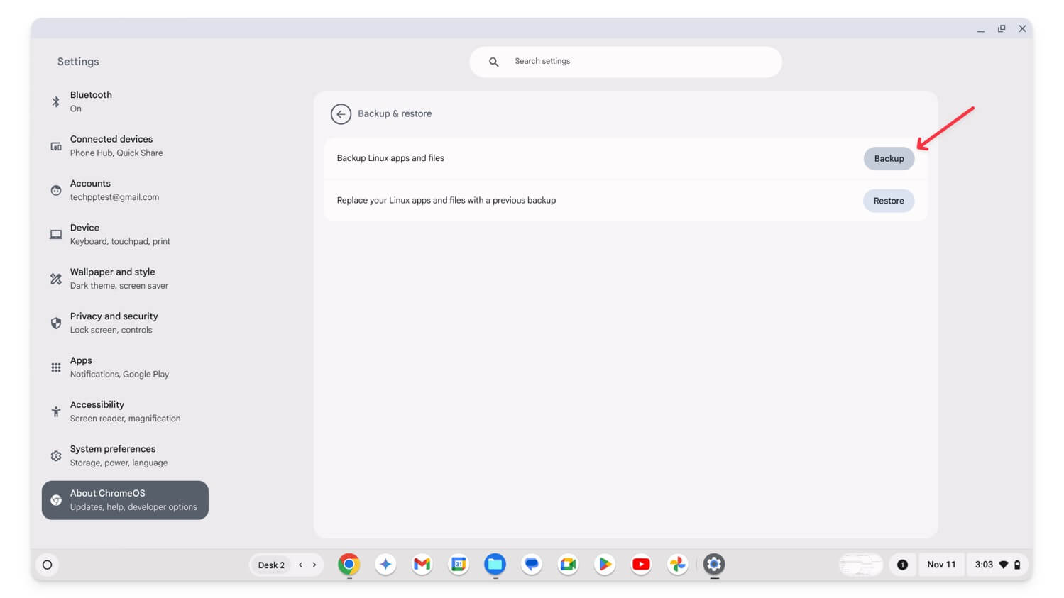 ChromeOS linux backup options