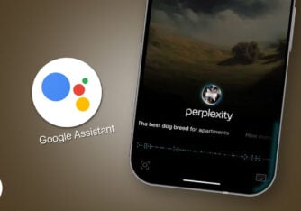 perplexity assistant vs google assistant