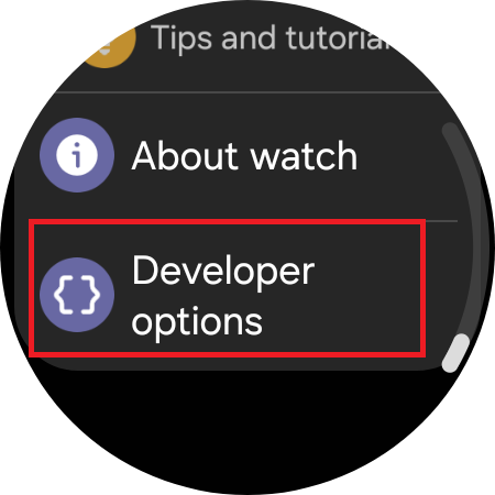 developer options