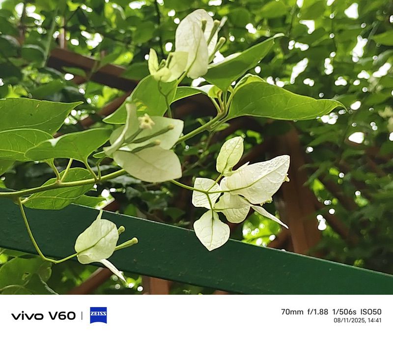 vivo v60 review: vivo delivers sub-rs 40,000 camera supremacy - img 20250811 144113
