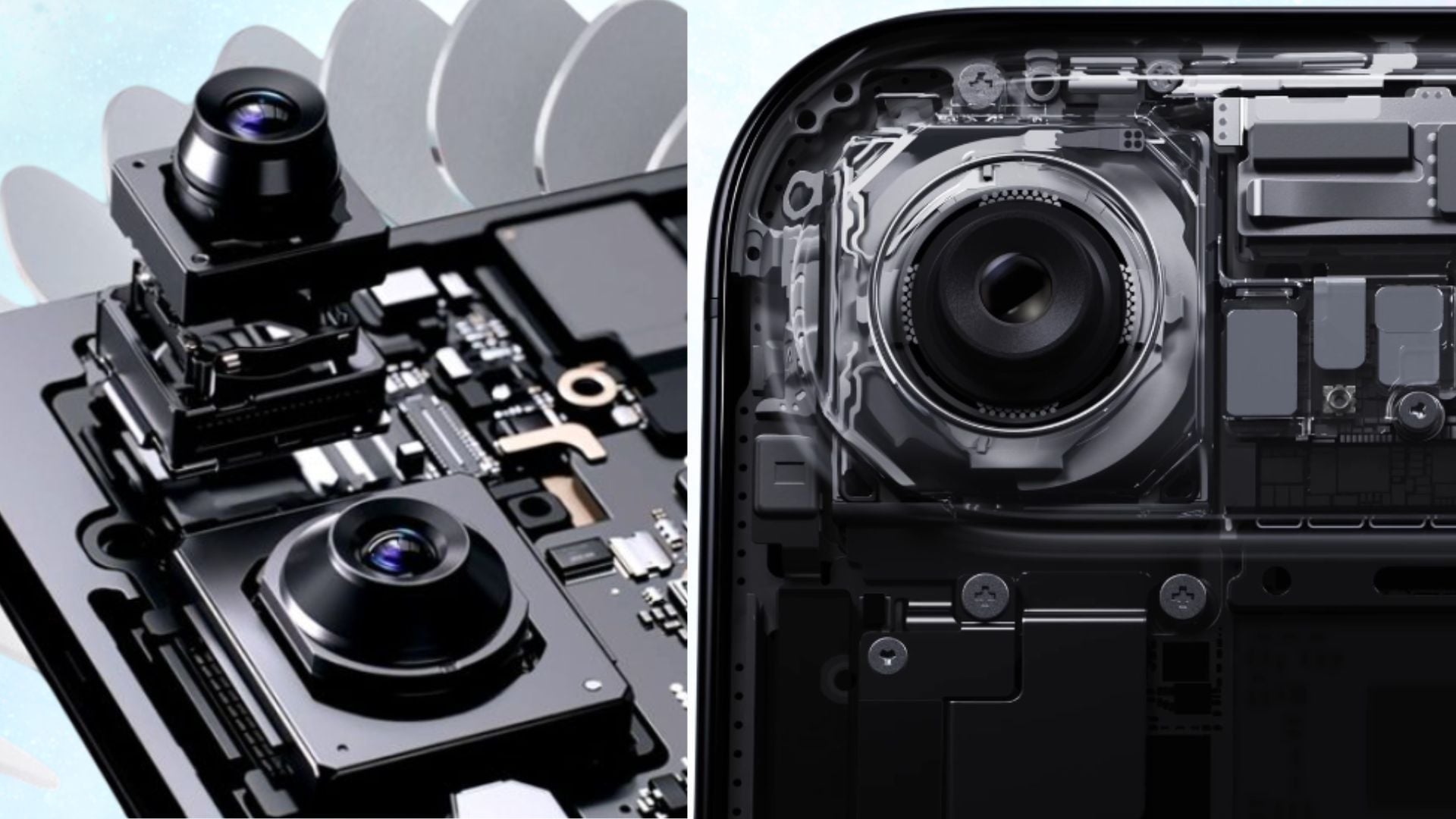 cameras