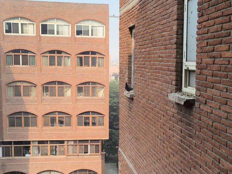 Lava Agni 4 Review: Stock Android's Indian Flagbearer - IMG 20251119 114450 647