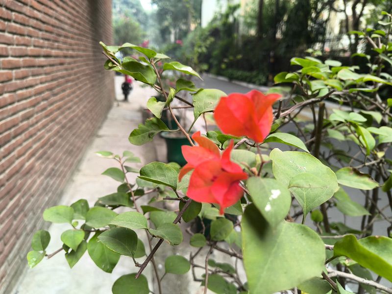 Lava Agni 4 Review: Stock Android's Indian Flagbearer - IMG 20251119 121955 800 HDR