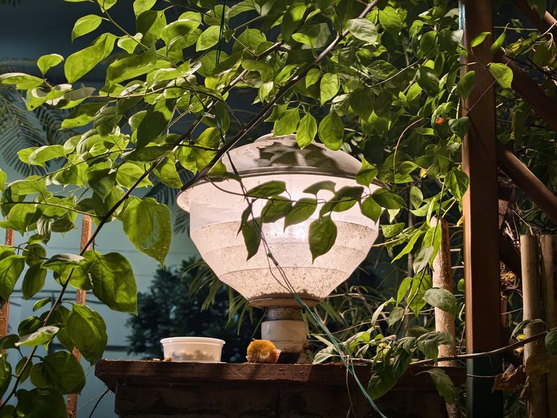 iQOO 15 Review: Questing on and on… into the Premium Flagship Zone - IMG 20251125 215401