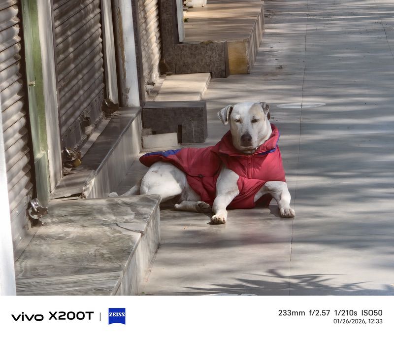 img 20260126 123337 vivo x200t review: flagship killer with flagship cameras - img 20260126 123337