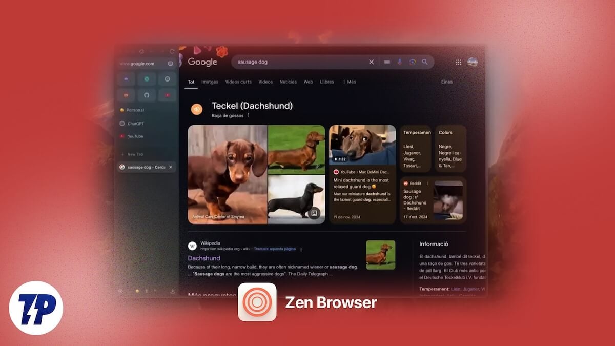 Zen Browser: A Holy Grail for Tab Hoarders Like Me