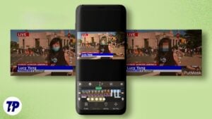 Putmask face blur censor videos photos