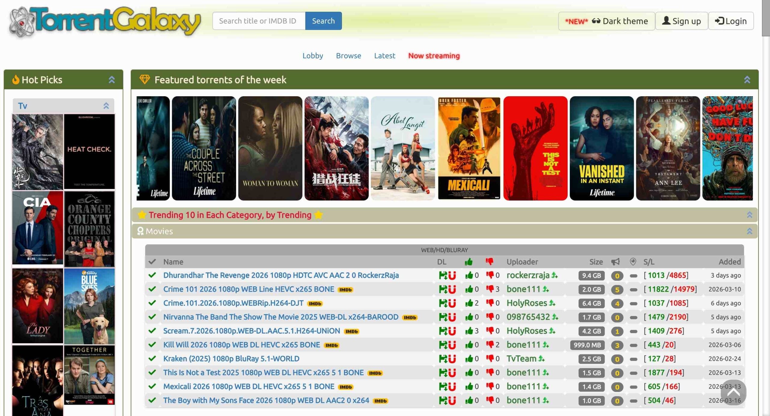 Torrent Galaxy Proxy Site