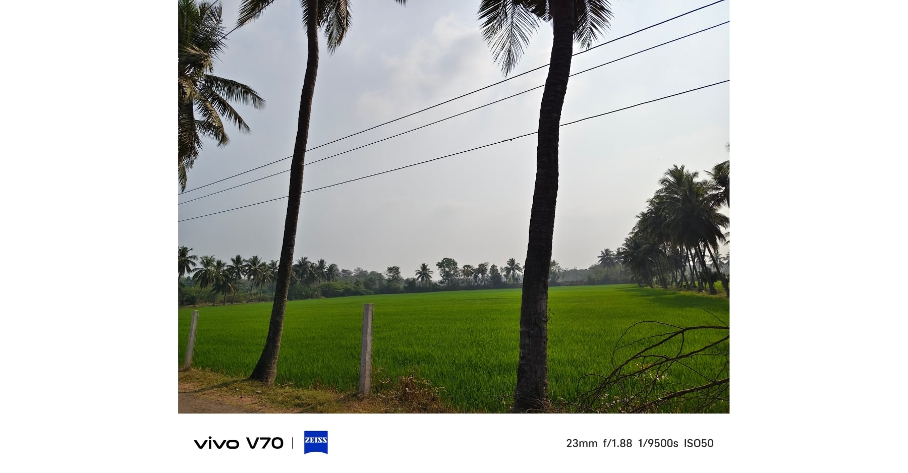 vivo v70 daylight camera sample 1 vivo v70 review: the v series takes a premium turn - vivo v70 daylight camera sample 1