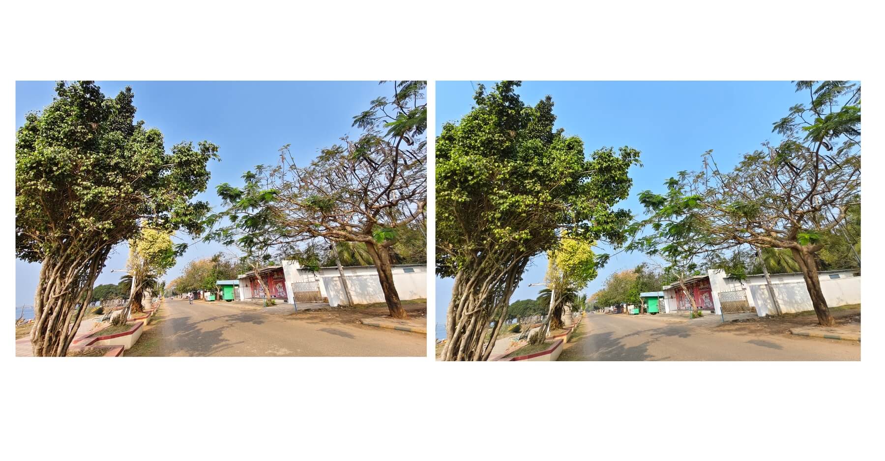 vivo v70 vs. vivo x200t camera comparison 1 vivo v70 vs. vivo x200t camera comparison