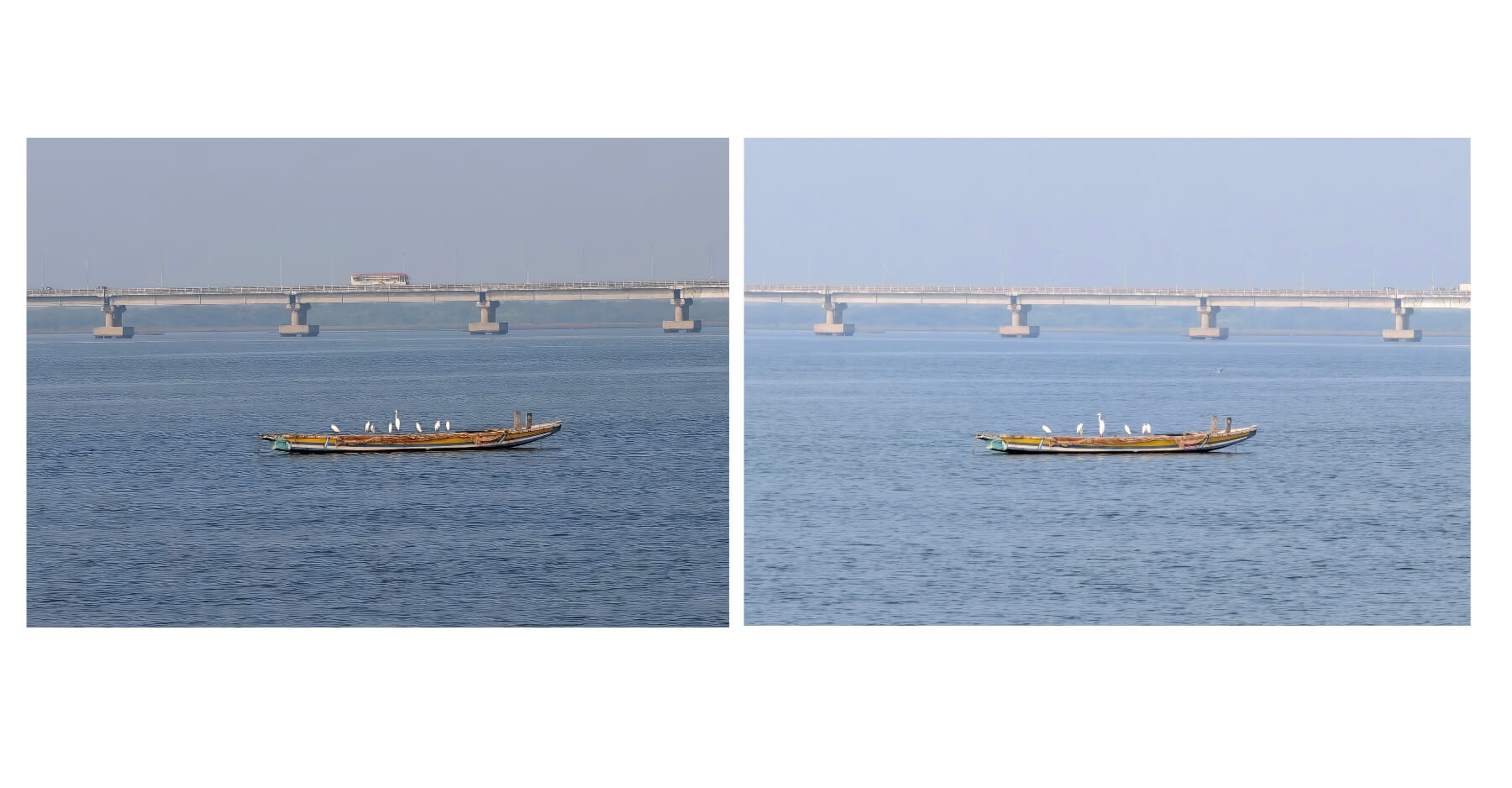 vivo v70 vs. vivo x200t camera comparison vivo v70 vs. vivo x200t camera comparison