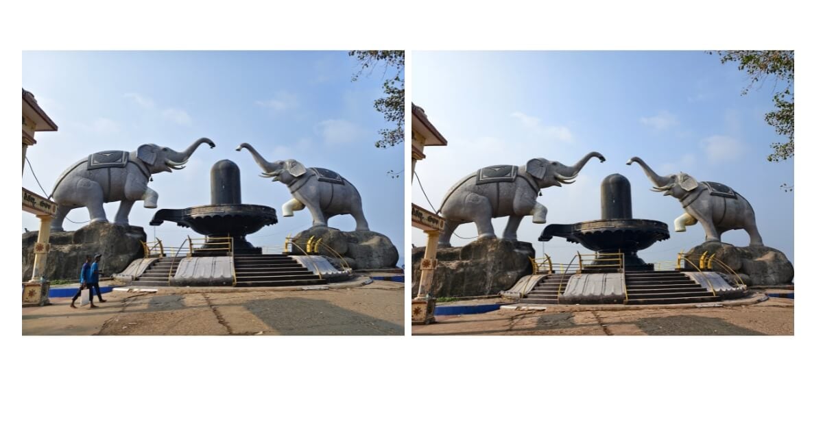 vivo x200t vs. vivo v70 camera comparison in the daylight vivo x200t vs. vivo v70 camera comparison in the daylight