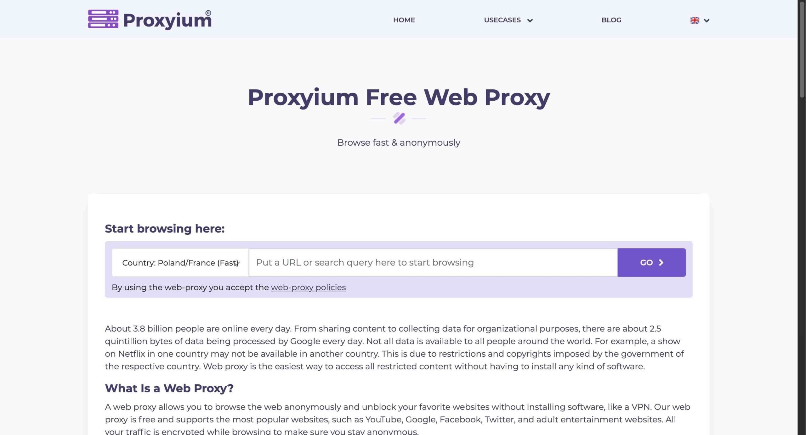 Web Proxy