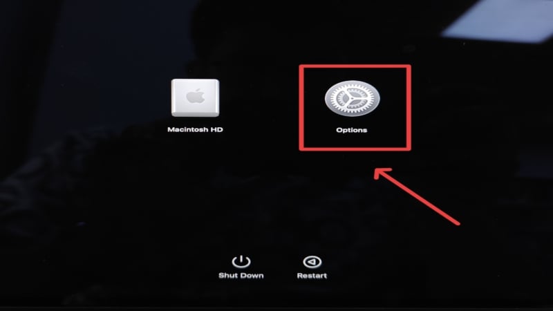 Options in Mac Recovery 