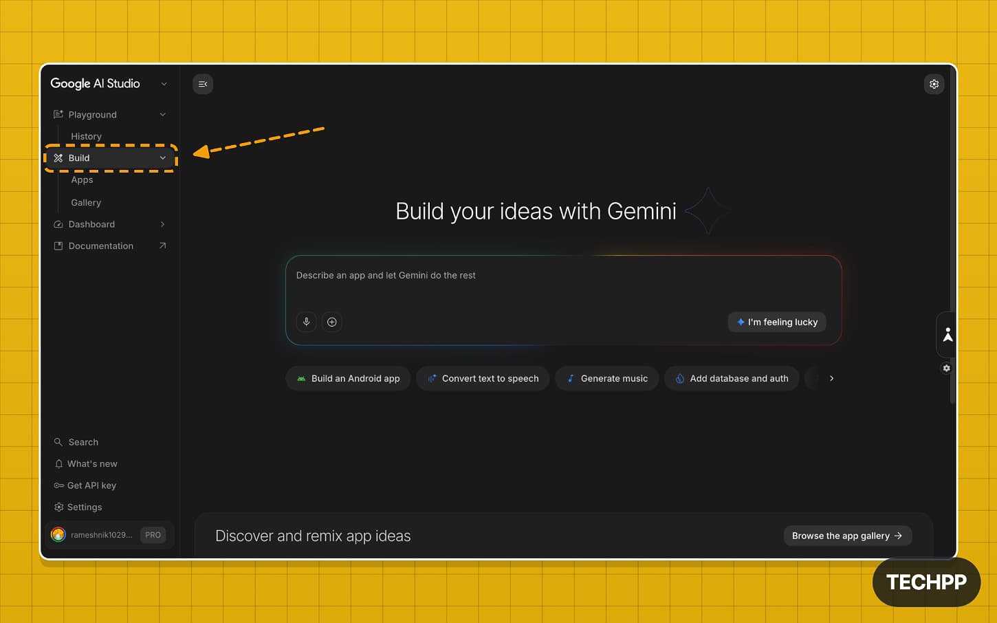 Google AI Studio build page