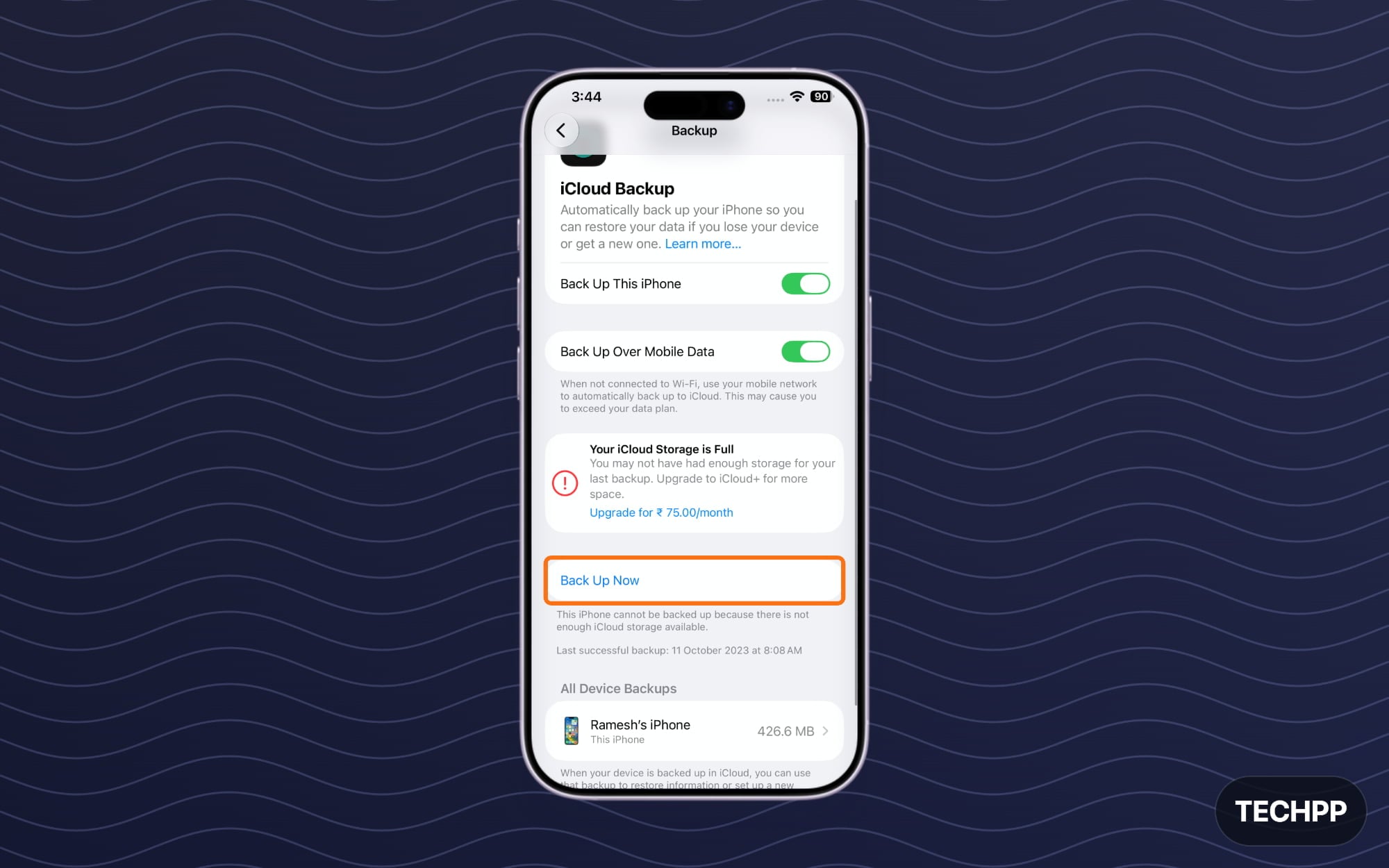backup now option
