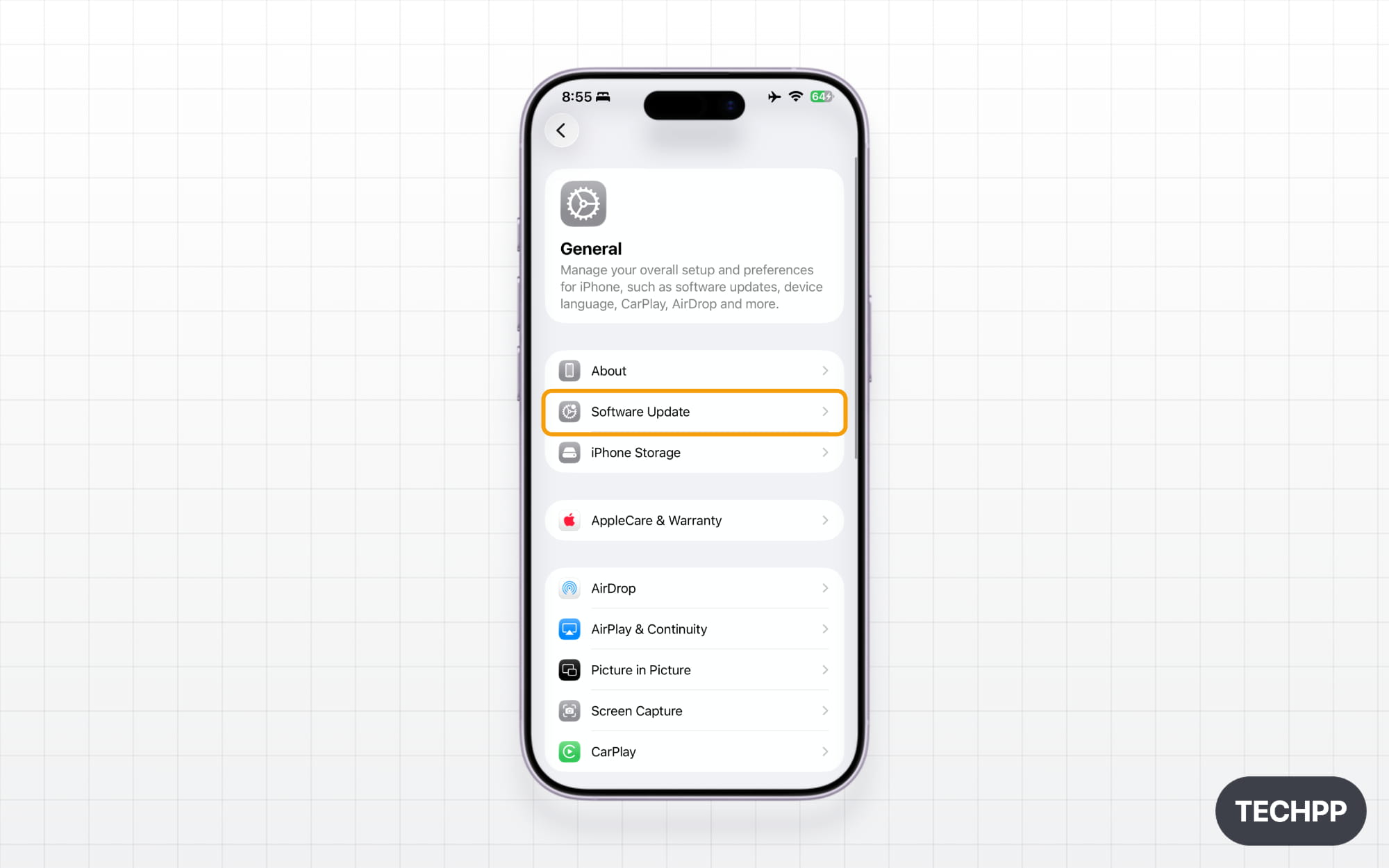 iPhone general Settings software update option