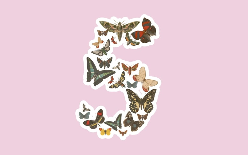 Anthropic Fable 5