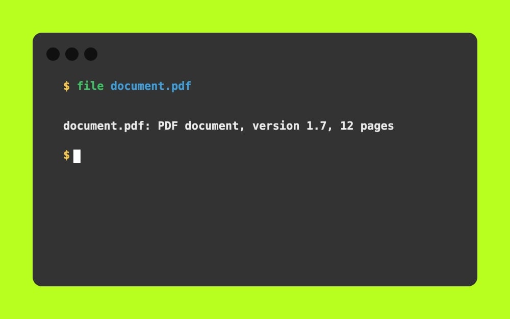 Mac Terminal - file document.pdf