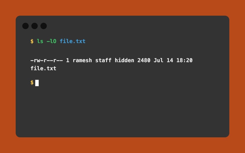 Mac Terminal - ls -lO file.txt