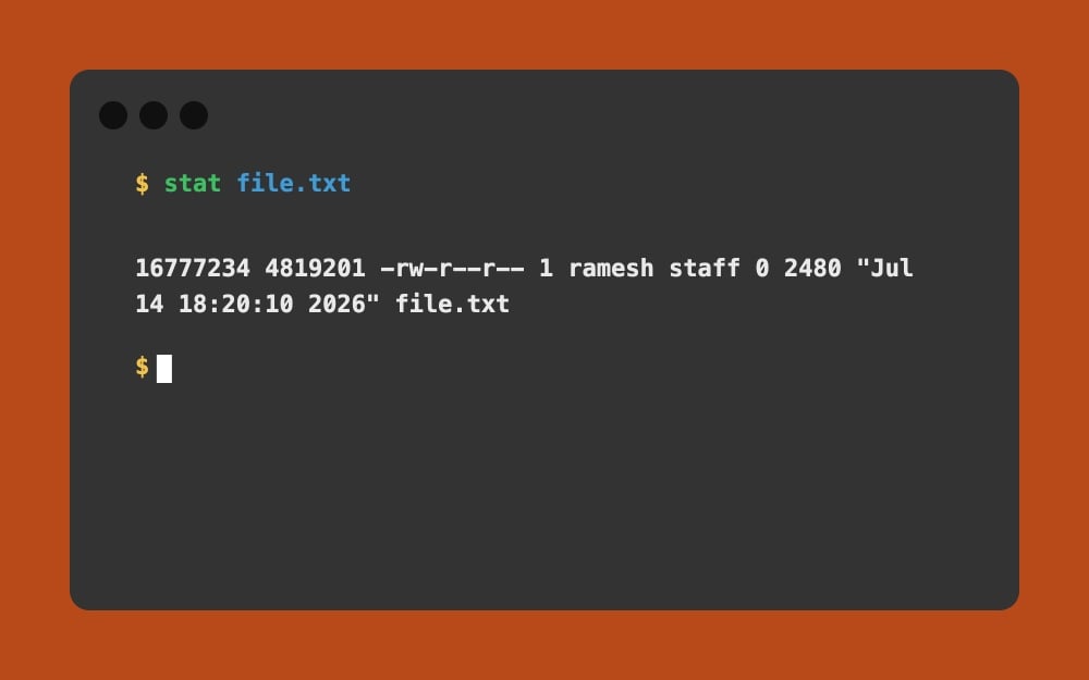 Mac Terminal - stat file.txt